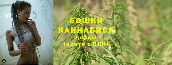 ПСИЛОЦИБИНОВЫЕ ГРИБЫ Аркадак