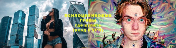ПСИЛОЦИБИНОВЫЕ ГРИБЫ Аркадак