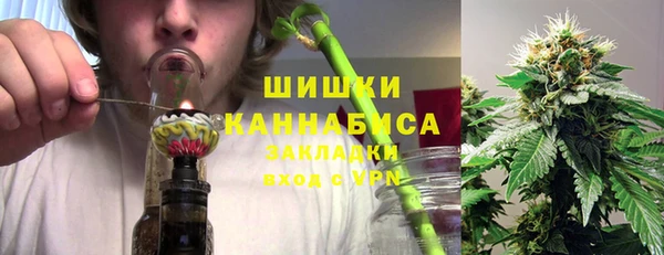 дмт Арсеньев