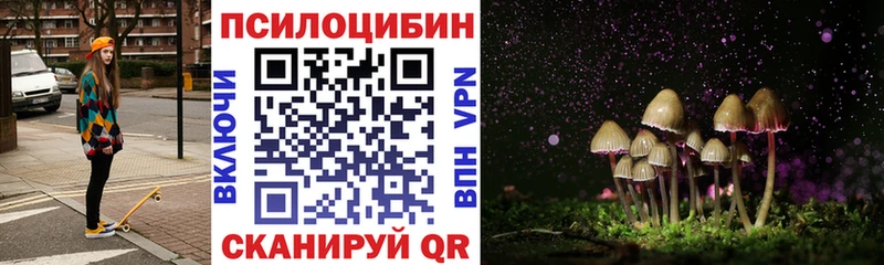 Купить закладки  Козловка  Галлюциногенные грибы Magic Shrooms 